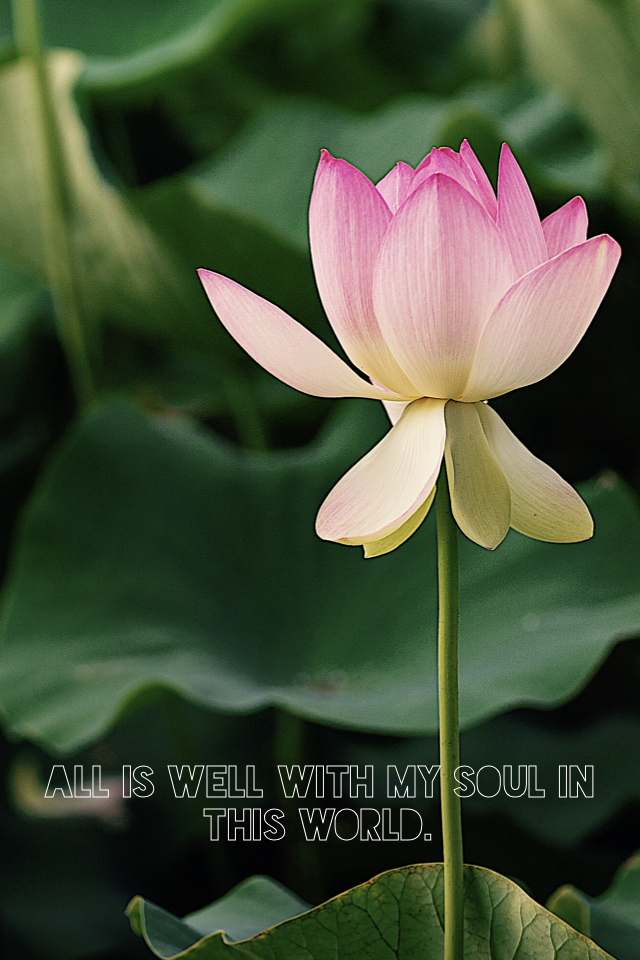 all-is-well
